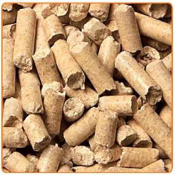 pellet, pylety, pylet, pelet